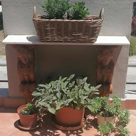 Afroditi's House * Nikiti (Sithonia)