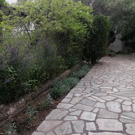 Afroditi's House *