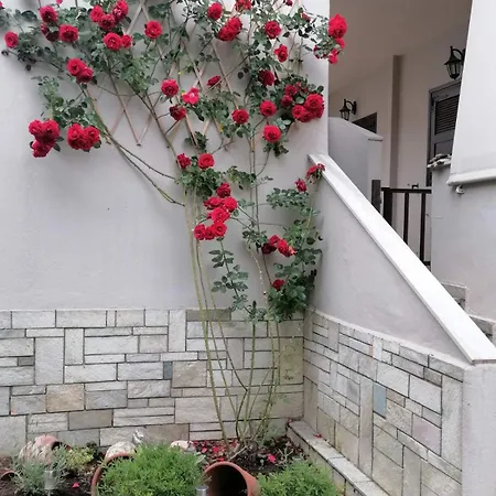 Apartamento Afroditi's House Nikiti (Sithonia)